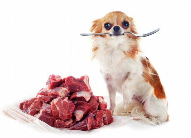 как правильно кормить собаку натуральной пищей