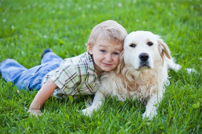 Какие породы собак лучше подходят для детей?