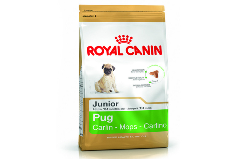 Royal Canin Puppy Pug
