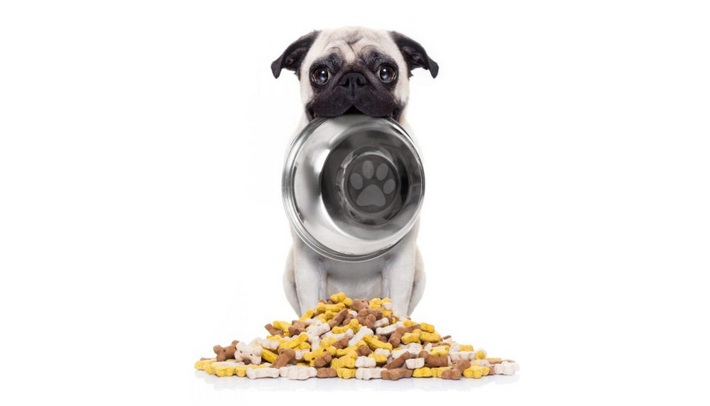 Dieta para perros pequeños